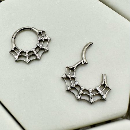 Spider-web hinged ring with WCZ