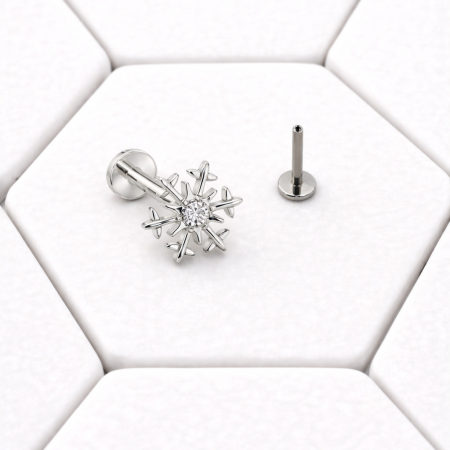 Snowflake with WCZ